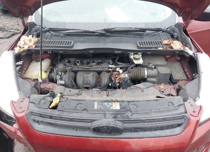 Photo 10 of 2014 Ford Escape S (VIN 1FMCU0F71EUE19718)