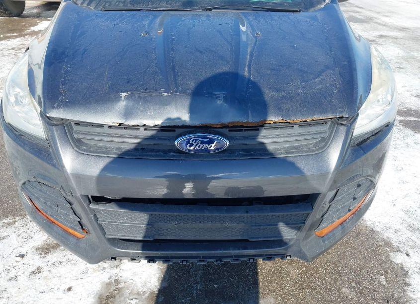 Photo 6 of 2015 Ford Escape S (VIN 1FMCU0F71FUB89907)