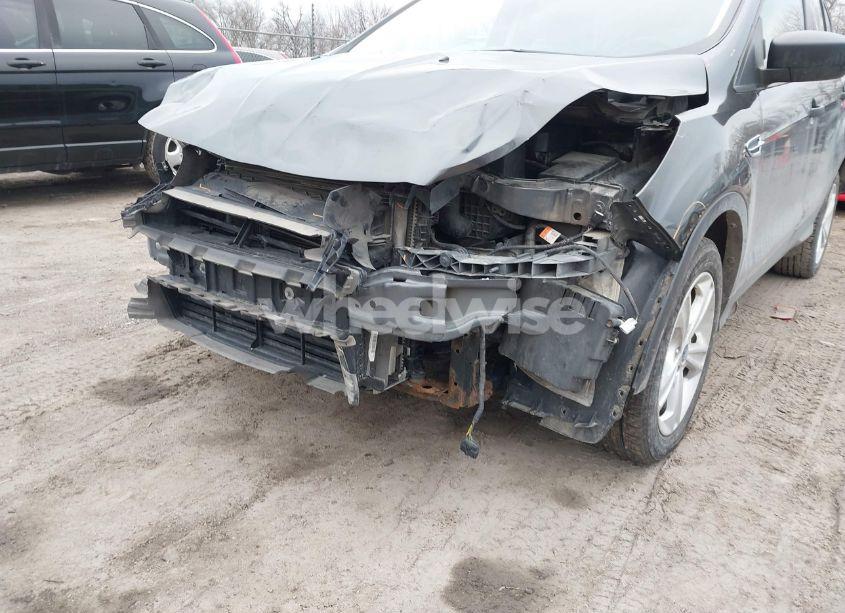 Photo 15 of 2016 Ford Escape S (VIN 1FMCU0F71GUB21012)