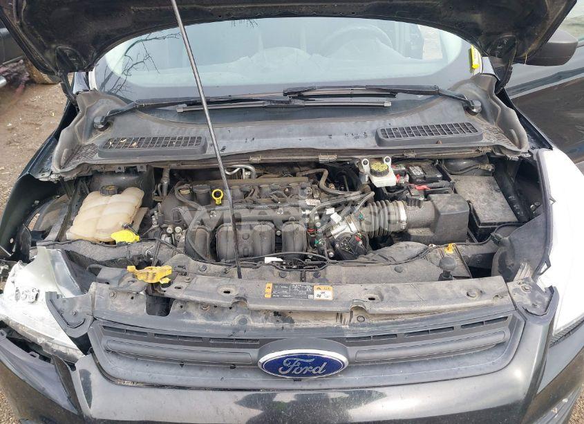 Photo 10 of 2014 Ford Escape S (VIN 1FMCU0F72EUB91910)