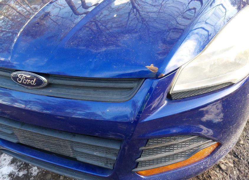 Photo 6 of 2014 Ford Escape S (VIN 1FMCU0F72EUC33718)