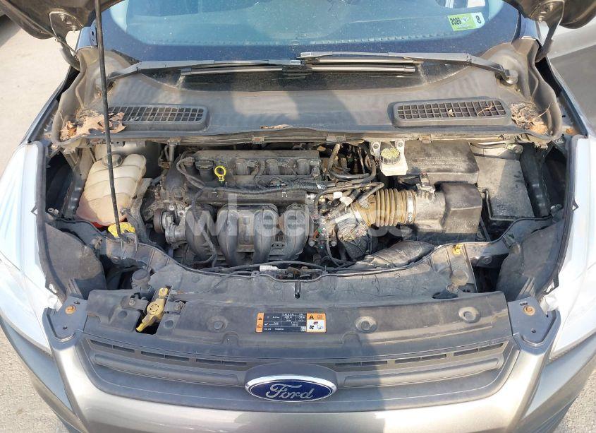 Photo 10 of 2014 Ford Escape S (VIN 1FMCU0F72EUC48218)