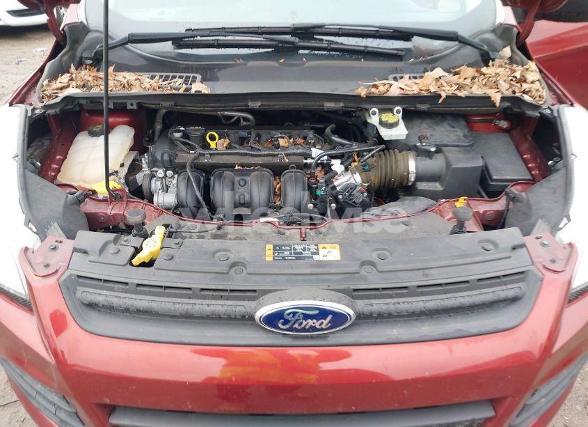 Photo 10 of 2015 Ford Escape S (VIN 1FMCU0F72FUA66777)