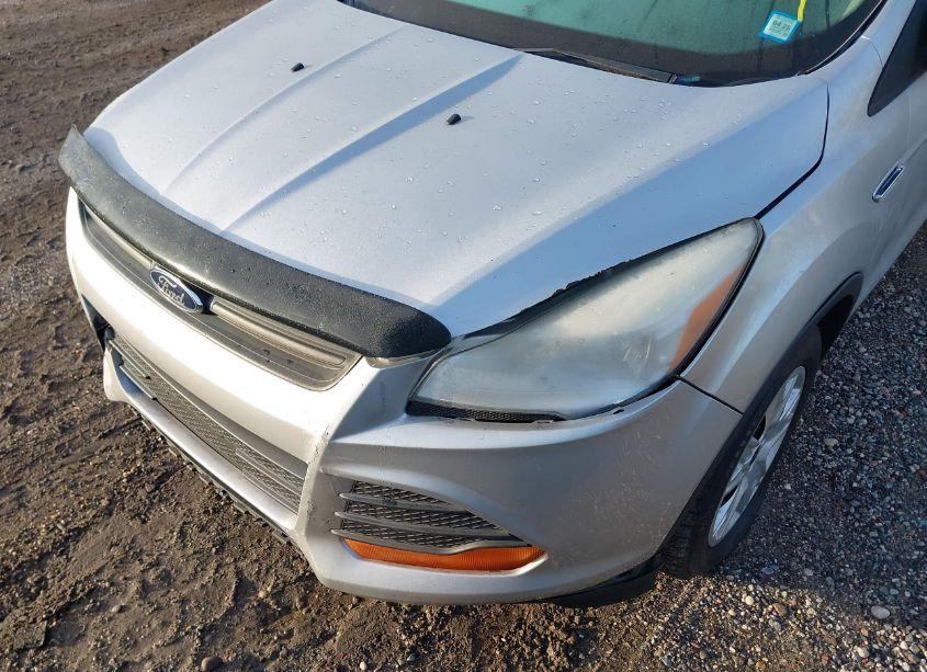 Photo 6 of 2014 Ford Escape S (VIN 1FMCU0F73EUB52243)