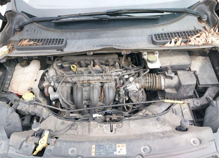 Photo 10 of 2014 Ford Escape S (VIN 1FMCU0F73EUC29631)