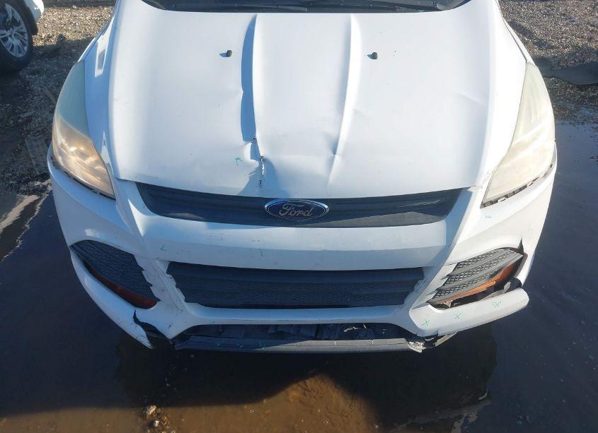 Photo 6 of 2014 Ford Escape S (VIN 1FMCU0F73EUC69630)