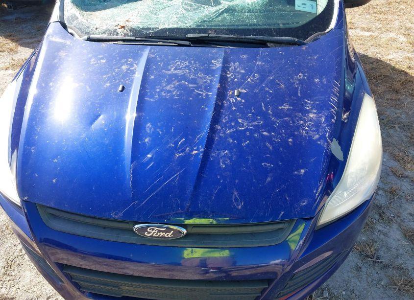 Photo 6 of 2016 Ford Escape S (VIN 1FMCU0F73GUB04180)