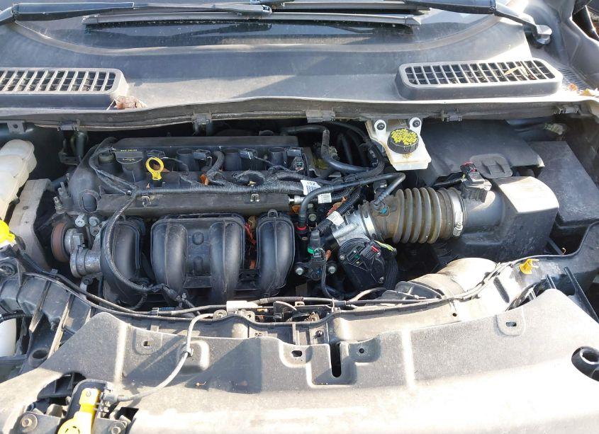 Photo 10 of 2015 Ford Escape S (VIN 1FMCU0F74FUB70395)