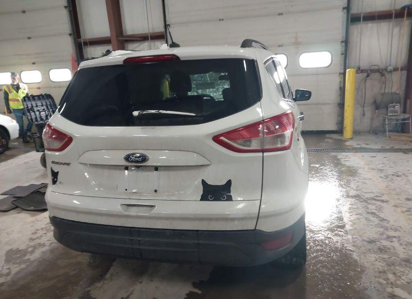 Photo 17 of 2015 Ford Escape S (VIN 1FMCU0F74FUC29381)