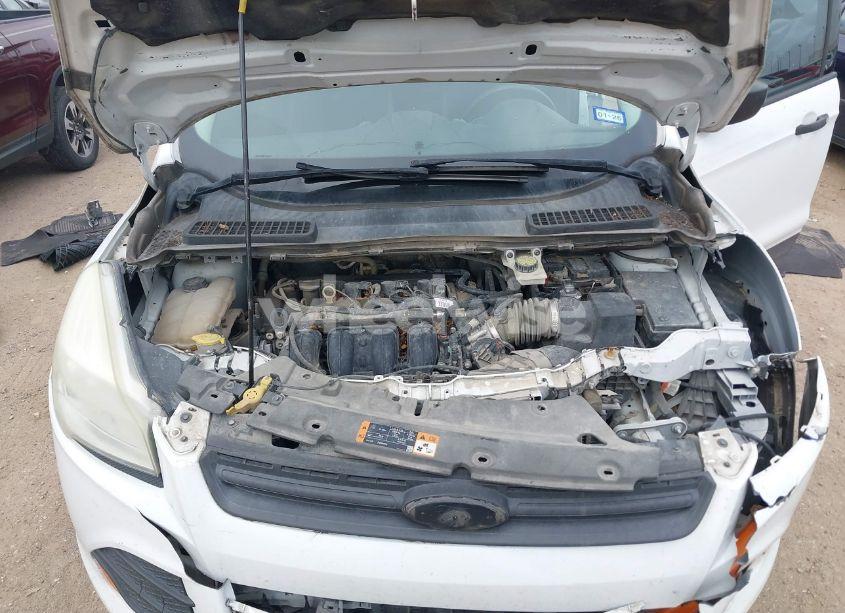 Photo 10 of 2016 Ford Escape S (VIN 1FMCU0F74GUA10132)