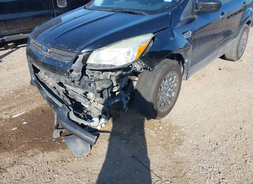 Photo 6 of 2016 Ford Escape S (VIN 1FMCU0F74GUB82175)