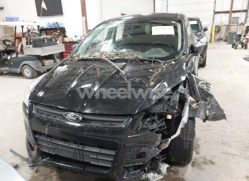 Photo 11 of 2016 Ford Escape S (VIN 1FMCU0F74GUC68781)