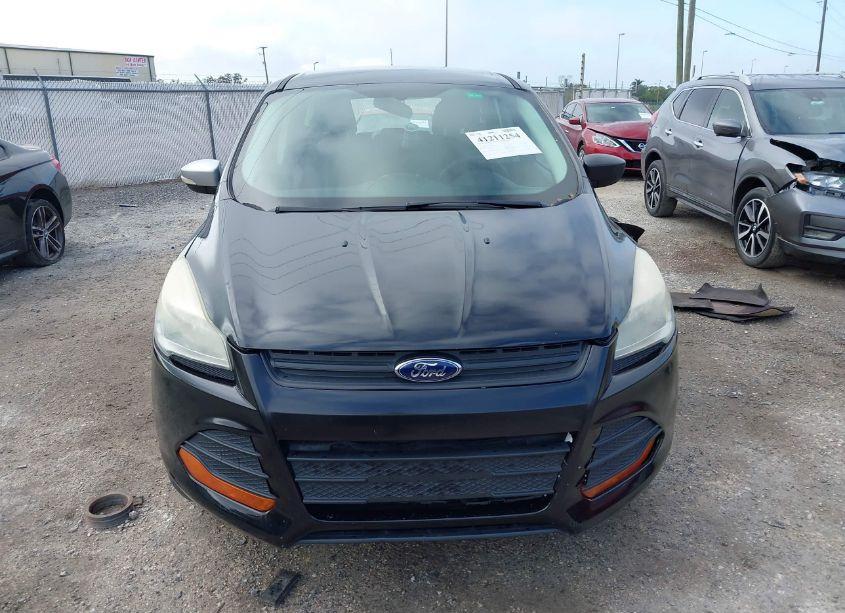 Photo 12 of 2013 Ford Escape S (VIN 1FMCU0F75DUC99193)
