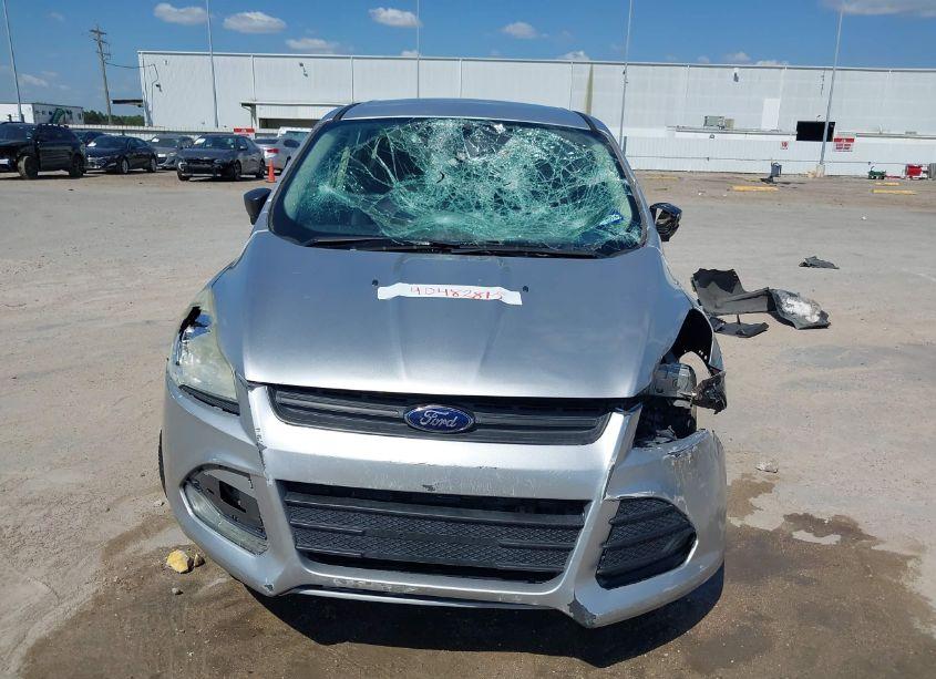 Photo 12 of 2014 Ford Escape S (VIN 1FMCU0F75EUD73035)