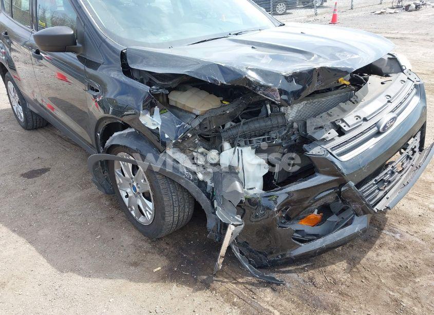 Photo 6 of 2016 Ford Escape S (VIN 1FMCU0F75GUC21615)