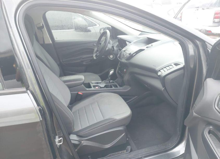 Photo 5 of 2019 Ford Escape S (VIN 1FMCU0F75KUB57102)