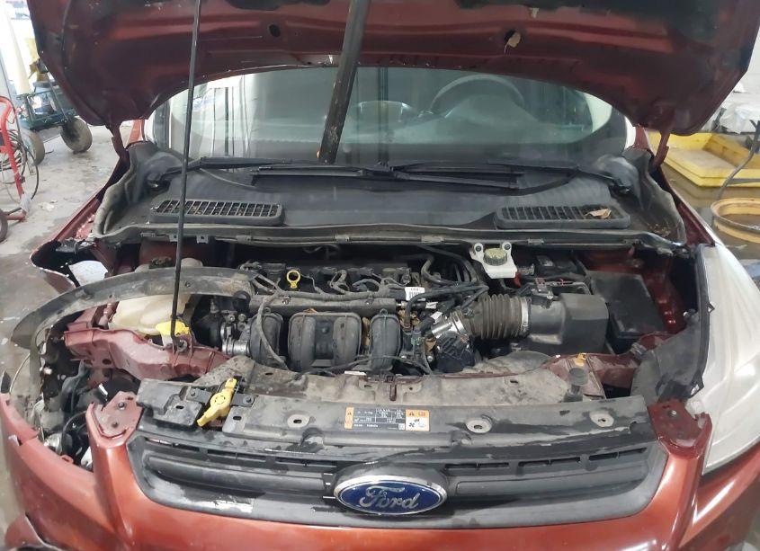 Photo 10 of 2014 Ford Escape S (VIN 1FMCU0F76EUE51810)