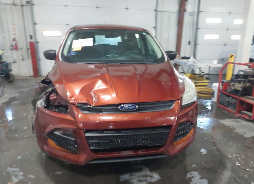 Photo 12 of 2014 Ford Escape S (VIN 1FMCU0F76EUE51810)