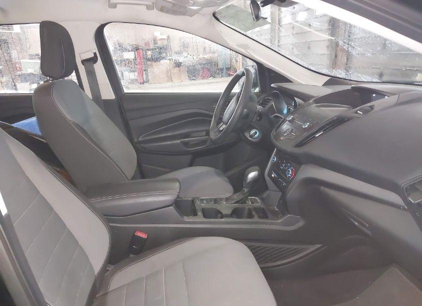 Photo 5 of 2019 Ford Escape S (VIN 1FMCU0F76KUC48072)