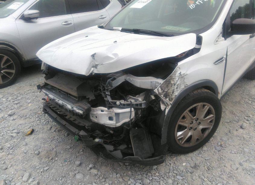 Photo 6 of 2013 Ford Escape S (VIN 1FMCU0F77DUD79417)