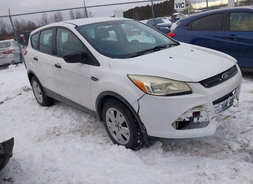 2014 Ford Escape S (VIN 1FMCU0F77EUB25627) main photo