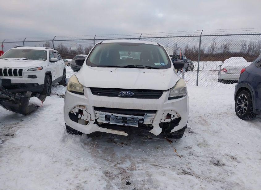 Photo 13 of 2014 Ford Escape S (VIN 1FMCU0F77EUB25627)