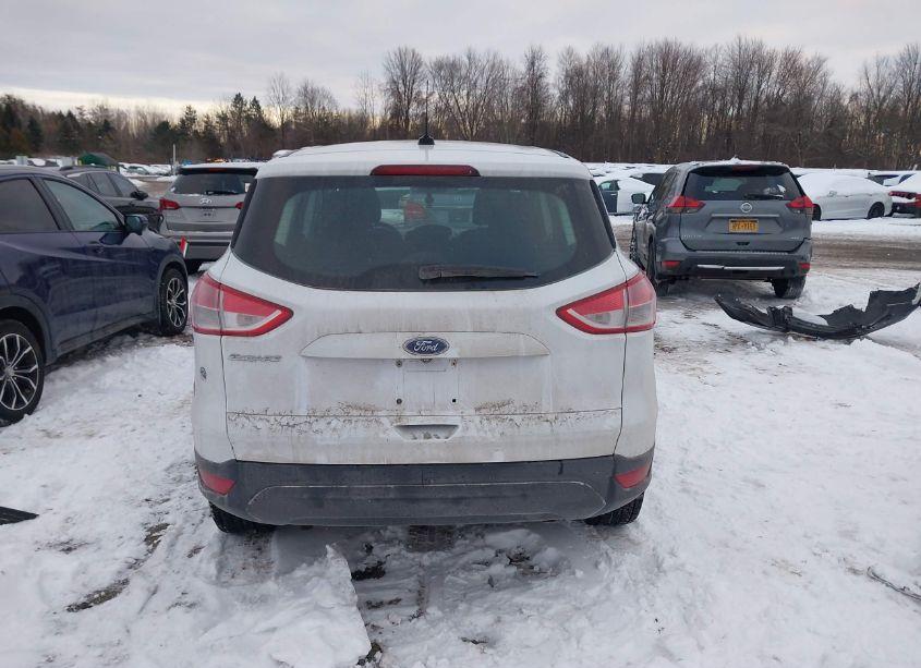 Photo 17 of 2014 Ford Escape S (VIN 1FMCU0F77EUB25627)