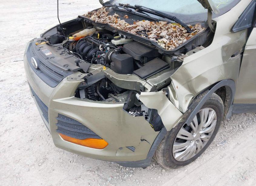 Photo 6 of 2014 Ford Escape S (VIN 1FMCU0F77EUB56165)