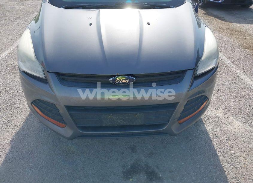 Photo 6 of 2014 Ford Escape S (VIN 1FMCU0F78EUD43866)