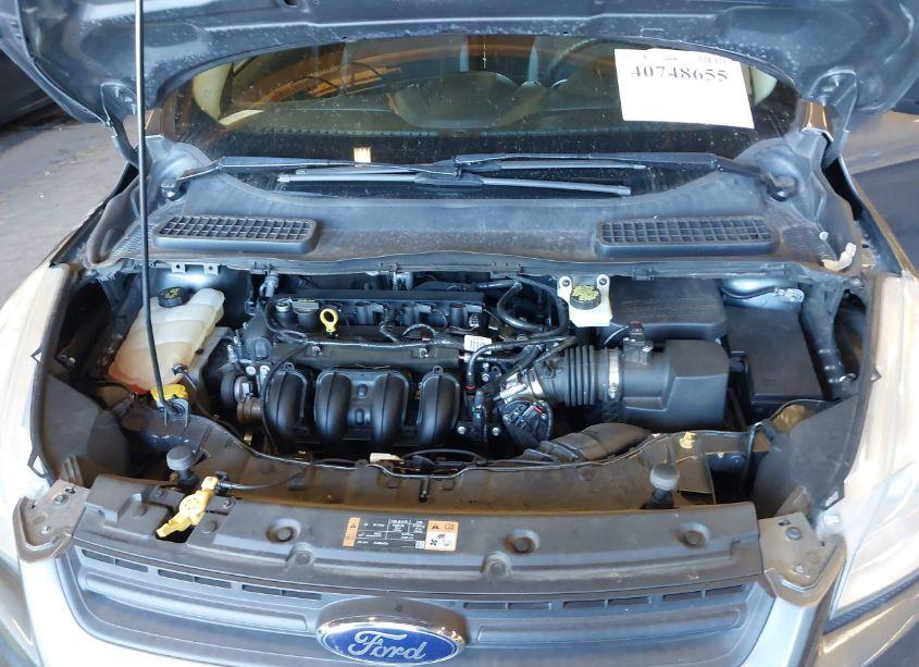 Photo 10 of 2014 Ford Escape S (VIN 1FMCU0F78EUE54157)