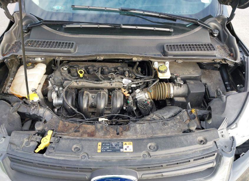 Photo 10 of 2016 Ford Escape S (VIN 1FMCU0F78GUC26663)