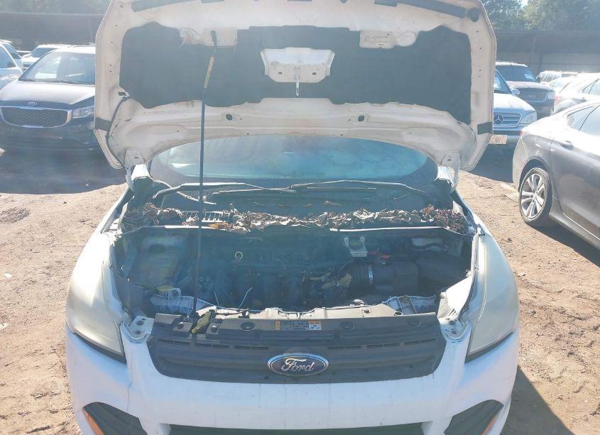 Photo 10 of 2013 Ford Escape S (VIN 1FMCU0F79DUD72338)