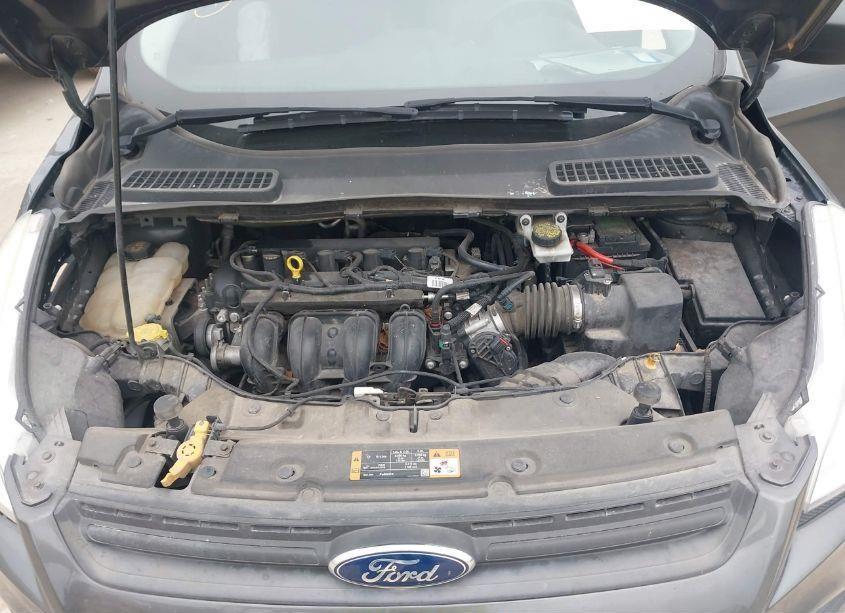 Photo 10 of 2016 Ford Escape S (VIN 1FMCU0F79GUB71060)