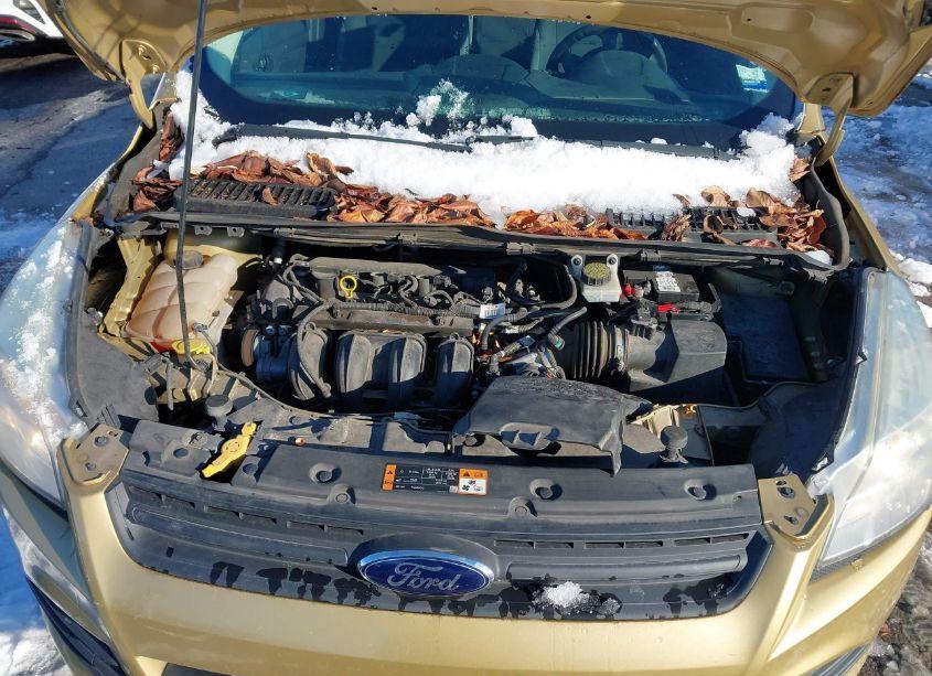 Photo 10 of 2014 Ford Escape S (VIN 1FMCU0F7XEUC21123)