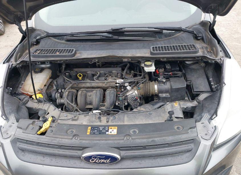 Photo 10 of 2014 Ford Escape S (VIN 1FMCU0F7XEUC44420)