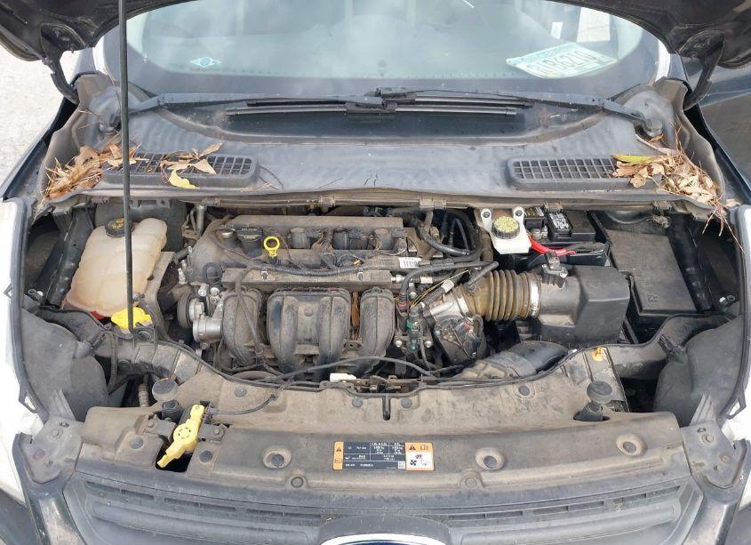 Photo 10 of 2014 Ford Escape S (VIN 1FMCU0F7XEUC49245)