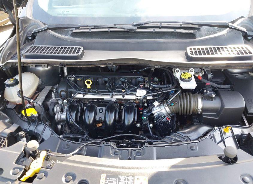 Photo 10 of 2019 Ford Escape S (VIN 1FMCU0F7XKUB05755)