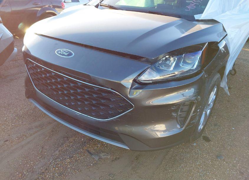 Photo 16 of 2020 Ford Escape SE (VIN 1FMCU0G60LUB73022)