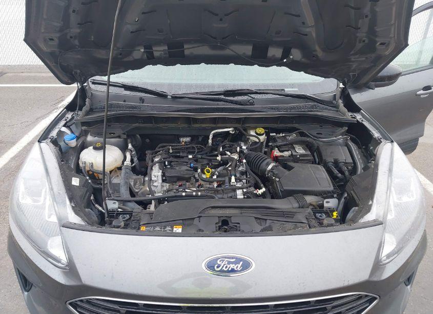 Photo 10 of 2022 Ford Escape SE (VIN 1FMCU0G60NUB85867)