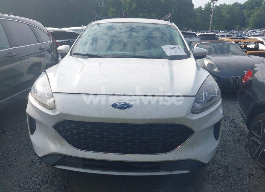 Photo 12 of 2020 Ford Escape SE (VIN 1FMCU0G62LUB44377)