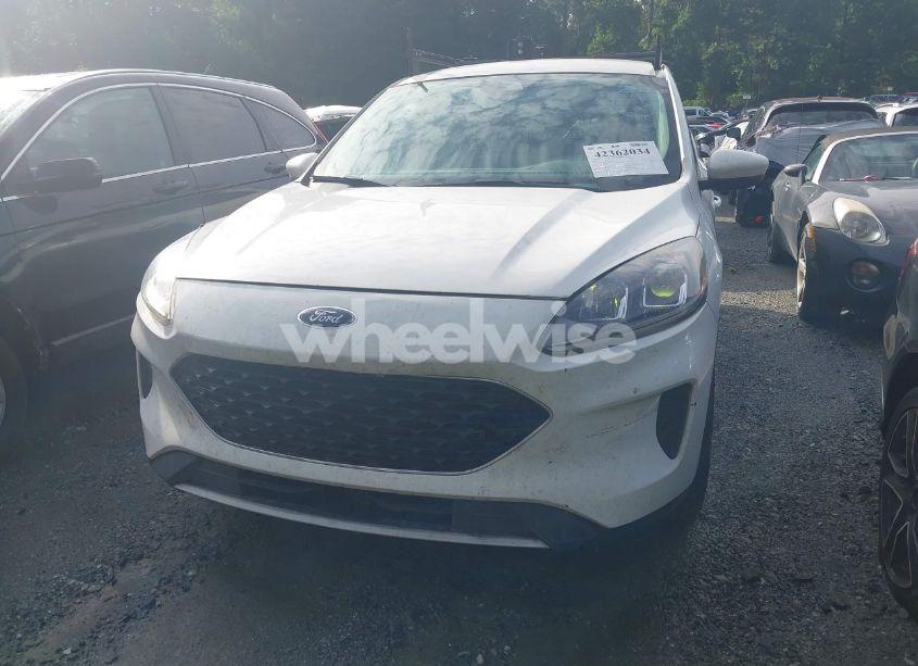 Photo 6 of 2020 Ford Escape SE (VIN 1FMCU0G62LUB44377)