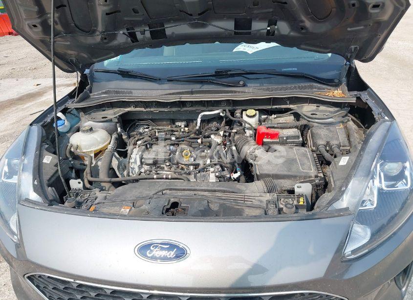 Photo 10 of 2021 Ford Escape SE (VIN 1FMCU0G62MUA73988)