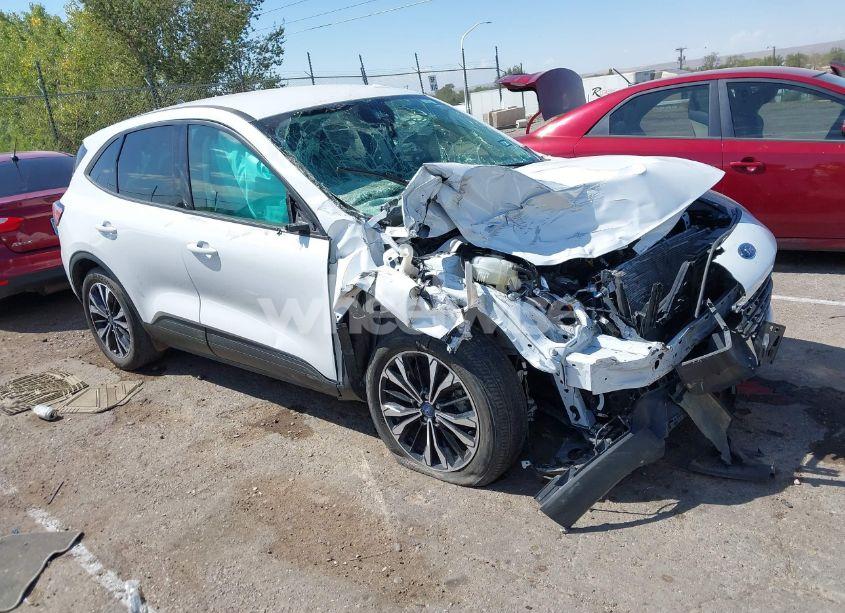 2022 Ford Escape SE (VIN 1FMCU0G62NUB98250) main photo