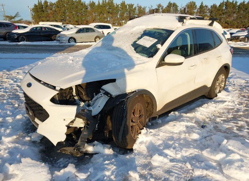 Photo 2 of 2021 Ford Escape SE (VIN 1FMCU0G64MUA69991)
