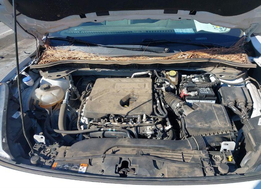 Photo 10 of 2020 Ford Escape SE (VIN 1FMCU0G65LUB73887)