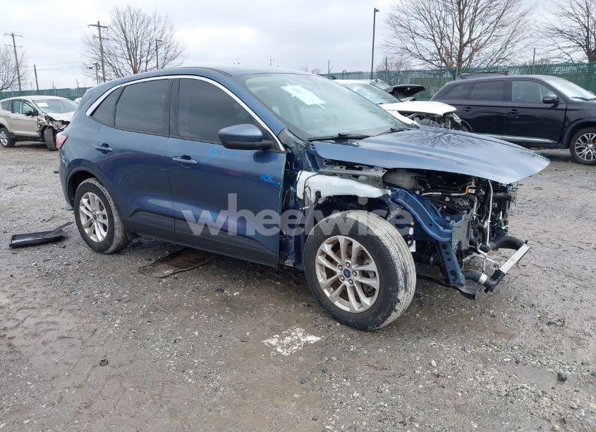 2020 Ford Escape SE (VIN 1FMCU0G65LUC38155) main photo