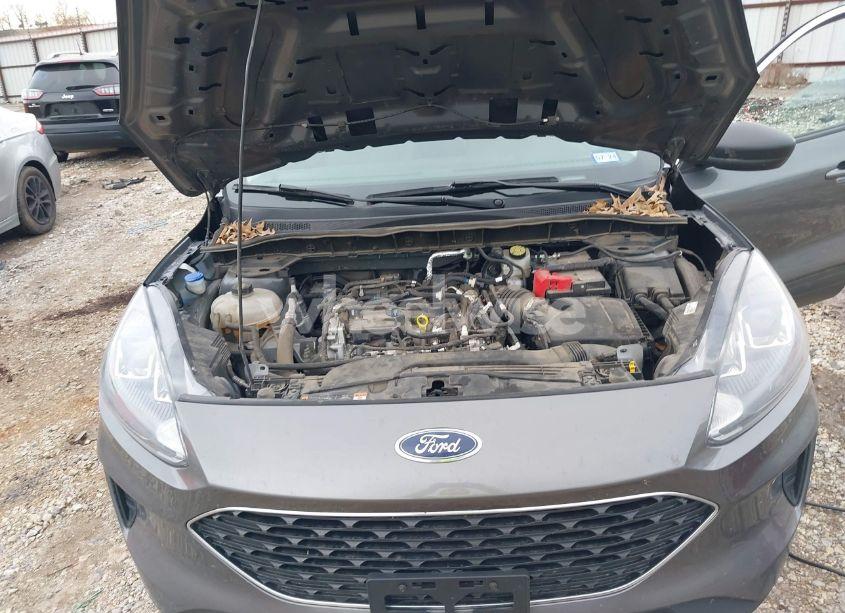 Photo 10 of 2022 Ford Escape SE (VIN 1FMCU0G65NUB32467)