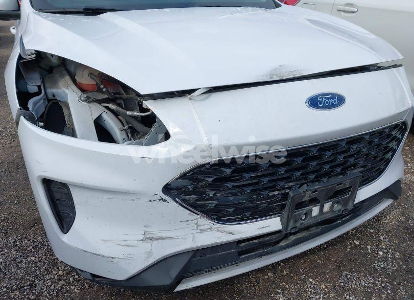 Photo 19 of 2020 Ford Escape SE (VIN 1FMCU0G66LUA31581)