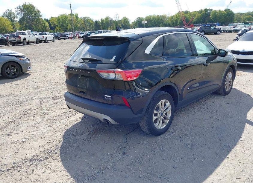 Photo 4 of 2020 Ford Escape SE (VIN 1FMCU0G67LUA20962)