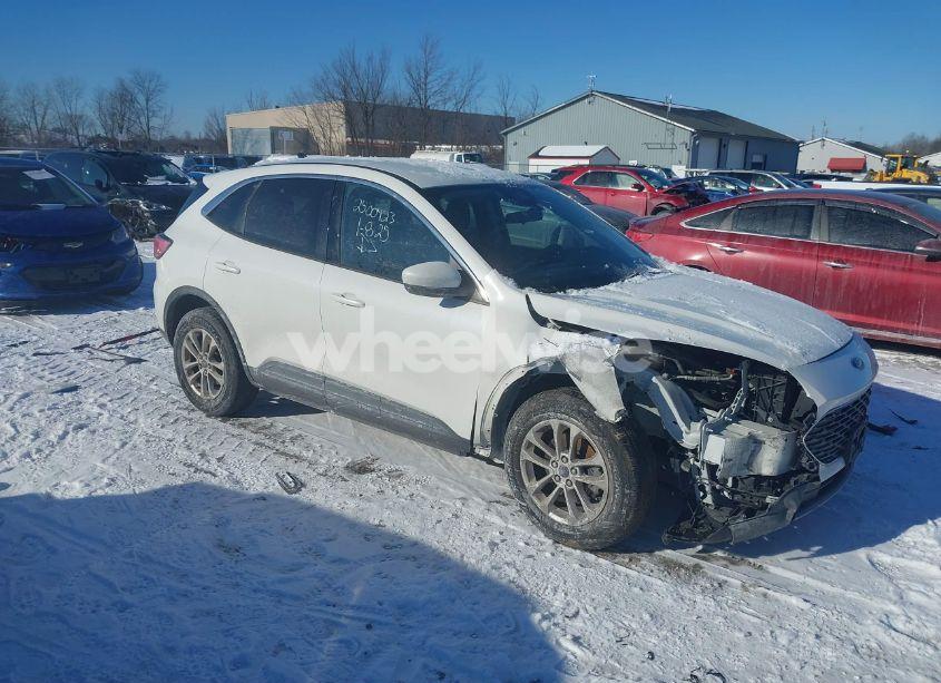 2020 Ford Escape SE (VIN 1FMCU0G67LUA49779) main photo